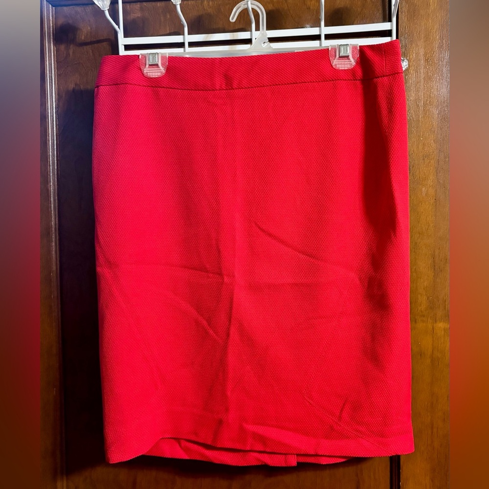 The Limited skirt